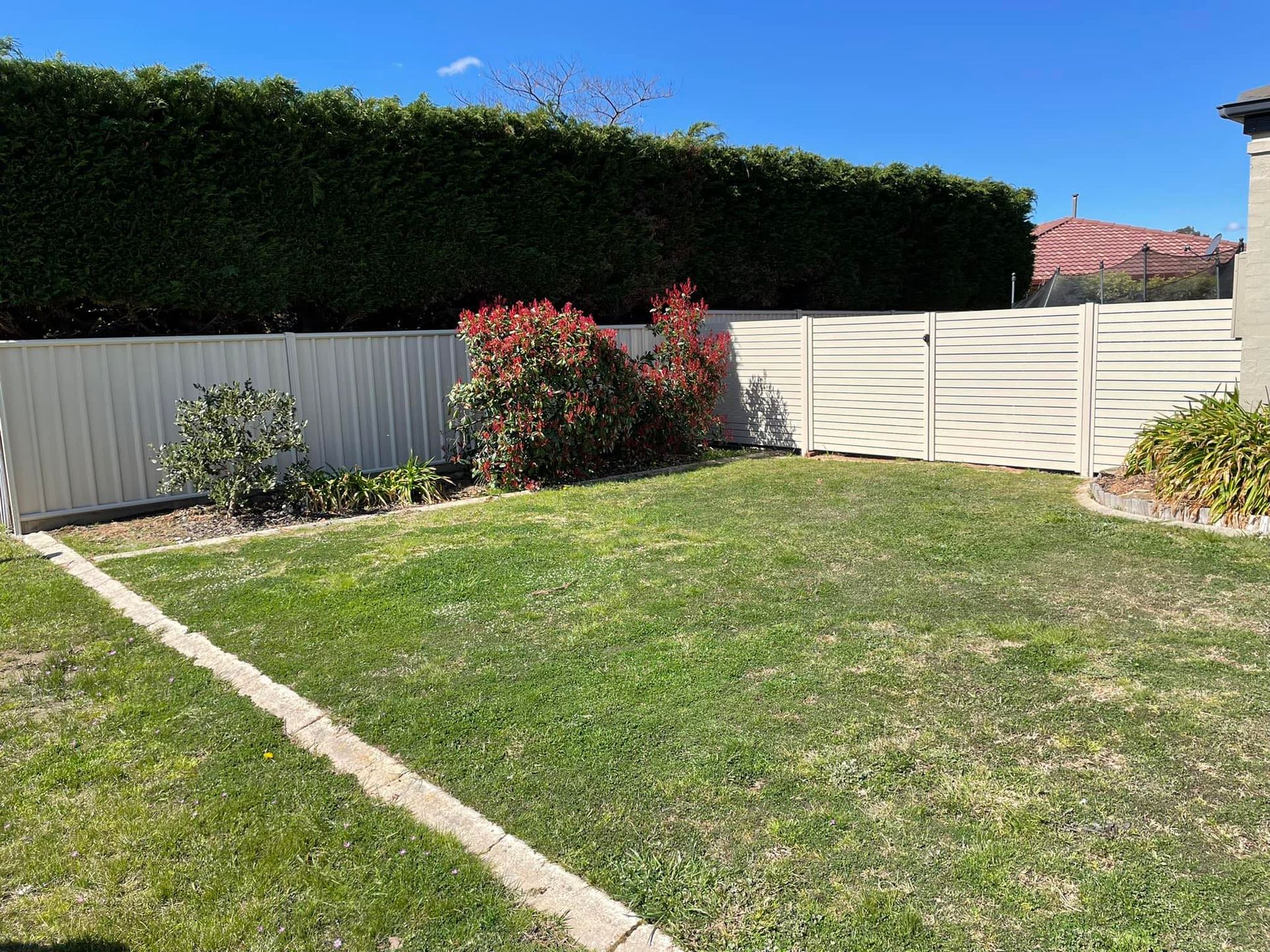 A backyard with a white fence and a lush green lawn.