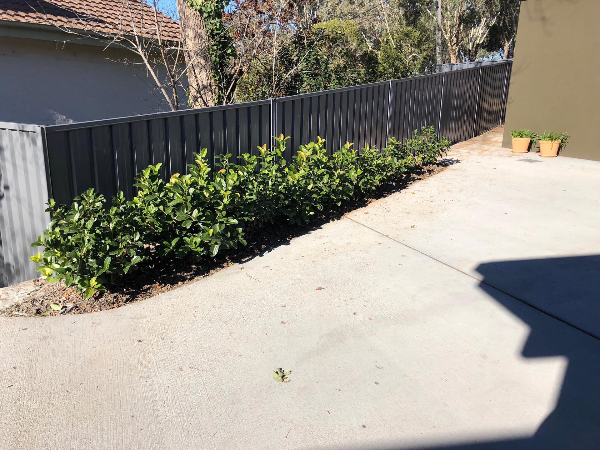 A driveway with a fence and bushes on the side of it