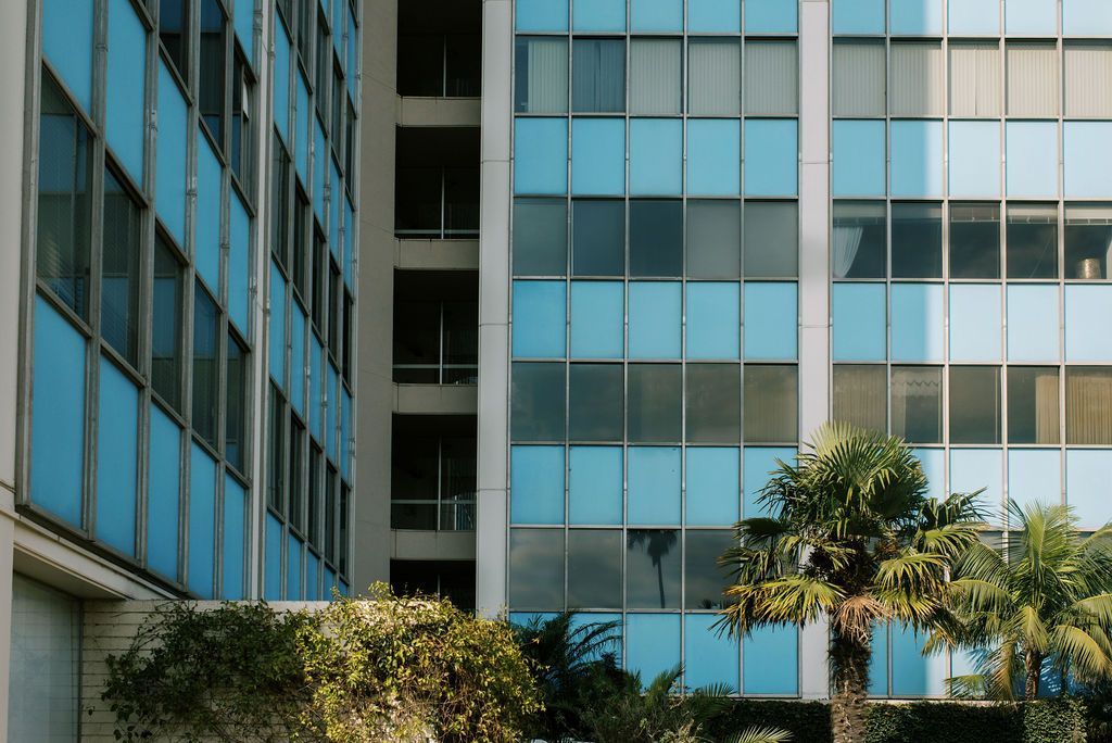 a blue building with a palm tree in front of it
