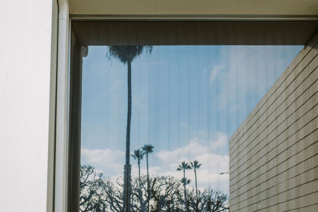 palm trees are reflected in the window of a building