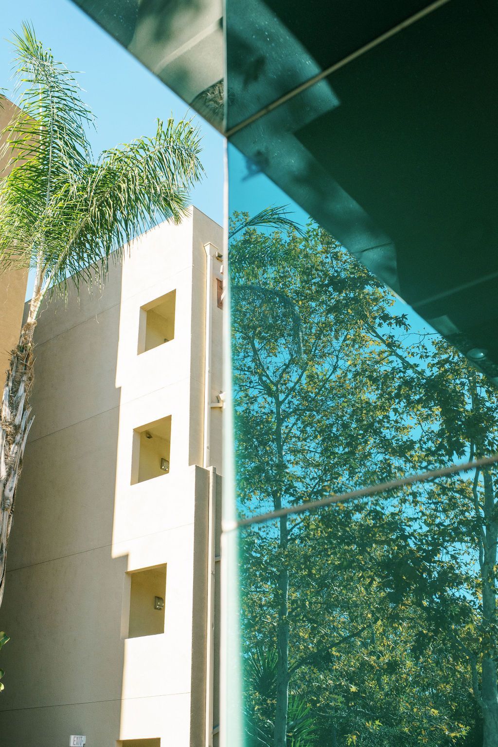 a palm tree is reflected in the glass of a building