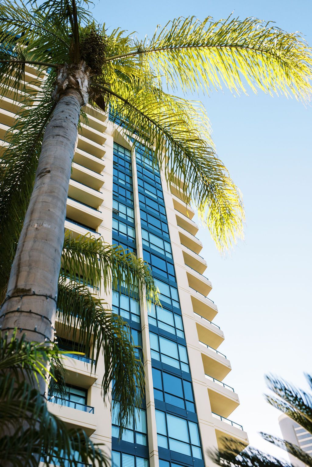 looking up at a tall building with palm trees in front of it