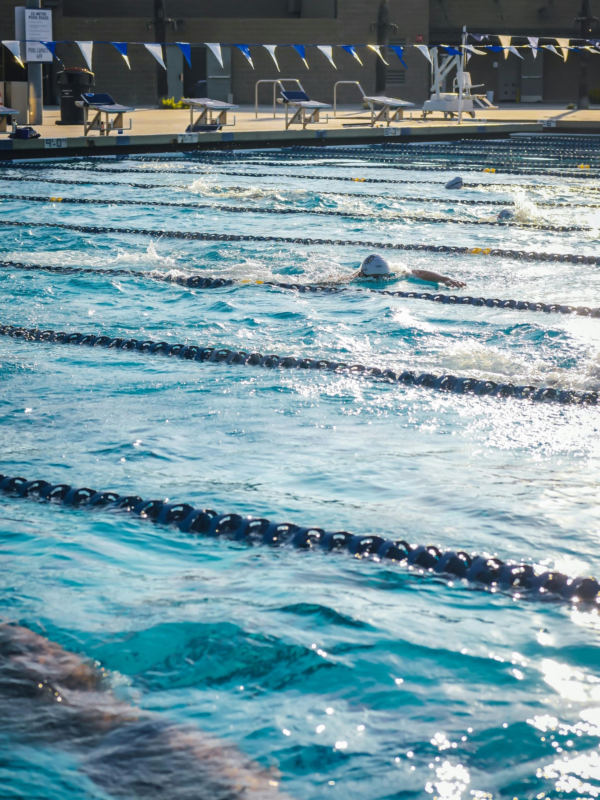 Swimmer in a pool, blue water, sunlight, lane lines, shallow focus.