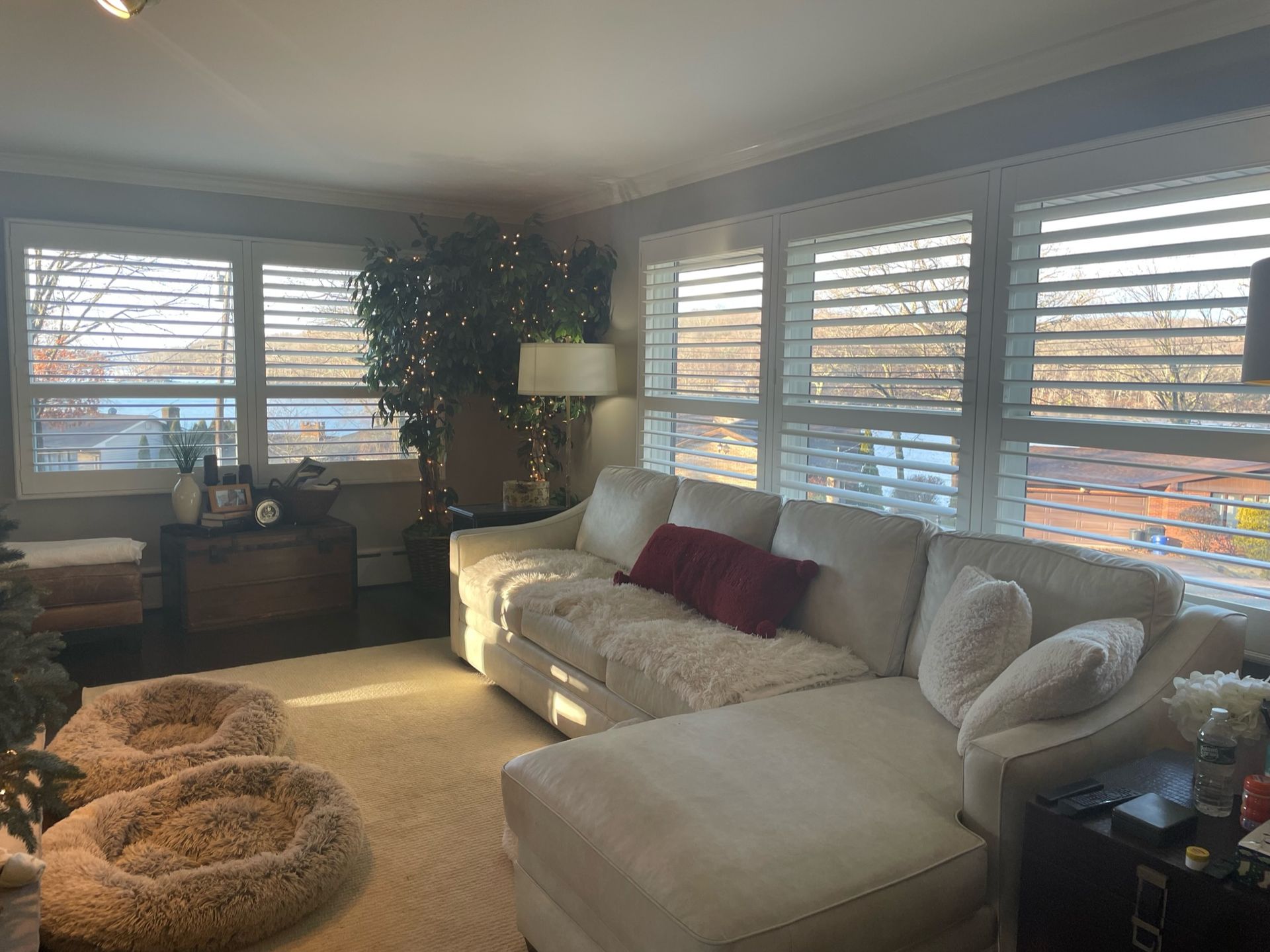 Living room with white shutters, cream sectional sofa, and a large plant.