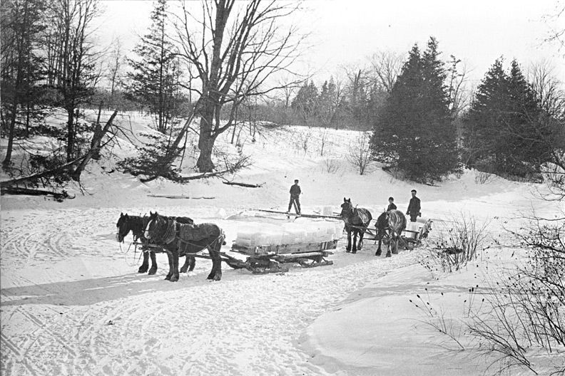 A black and white photo of horses pulling a sleigh through the snow.