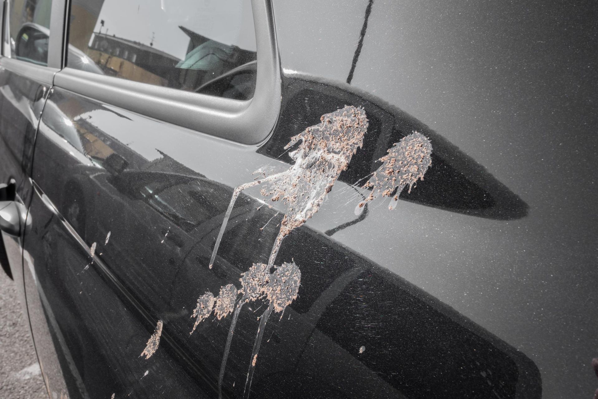 Bird dropping on the side of a black car