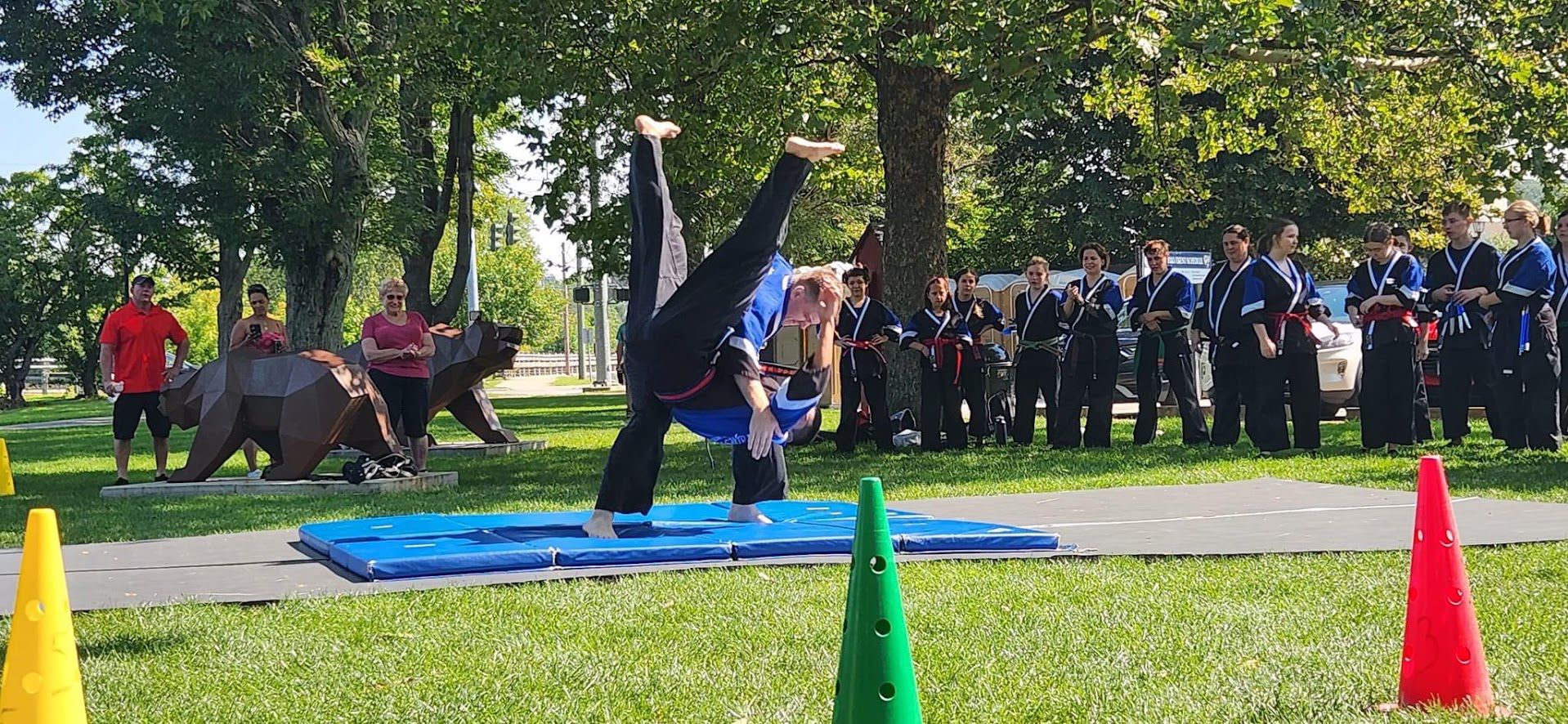 iron clad kids martial arts classes