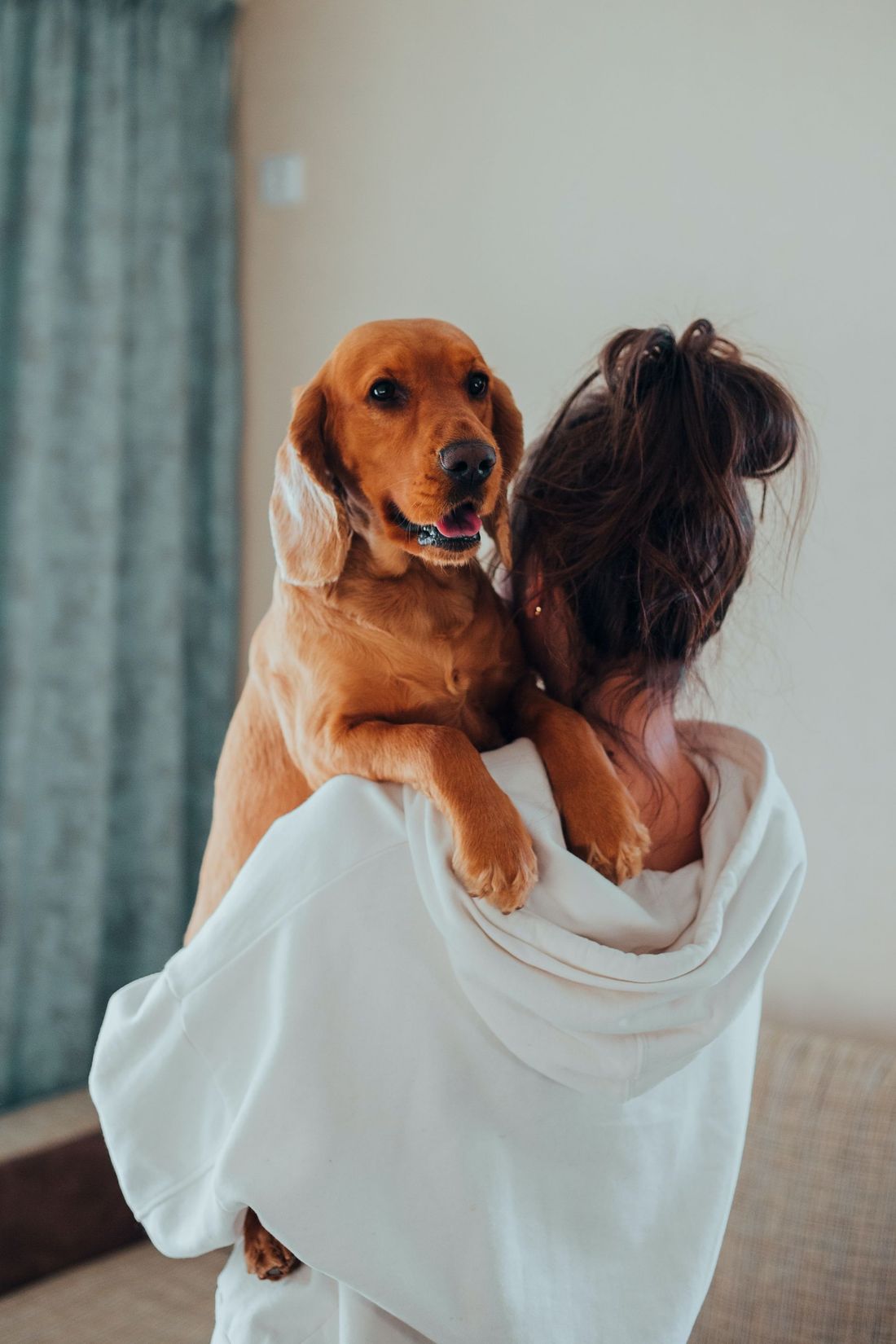 A person in a white hoodie holds a golden-brown dog over their shoulder as it looks toward the camera.
