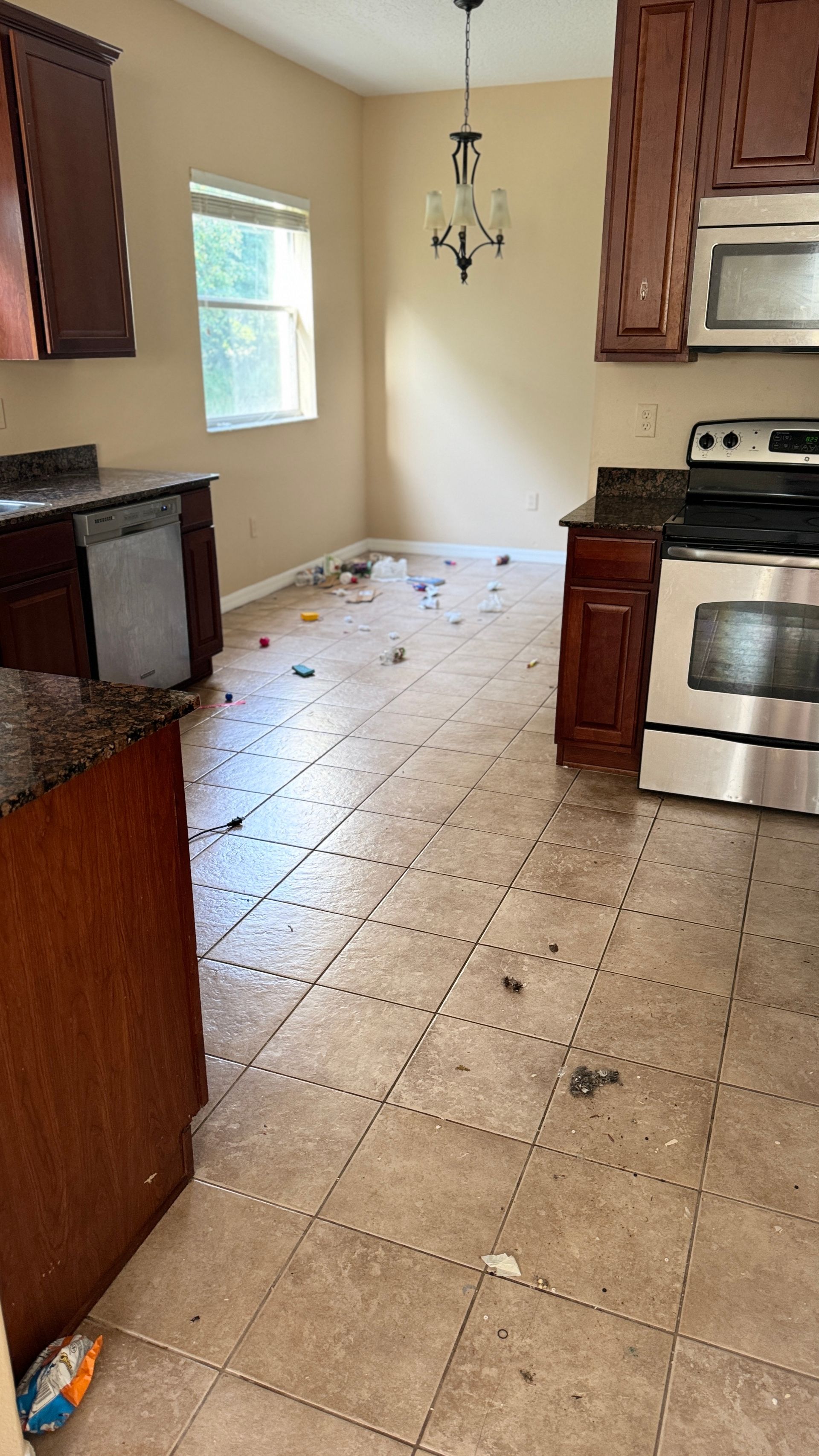 A kitchen with a stove , dishwasher , and microwave.