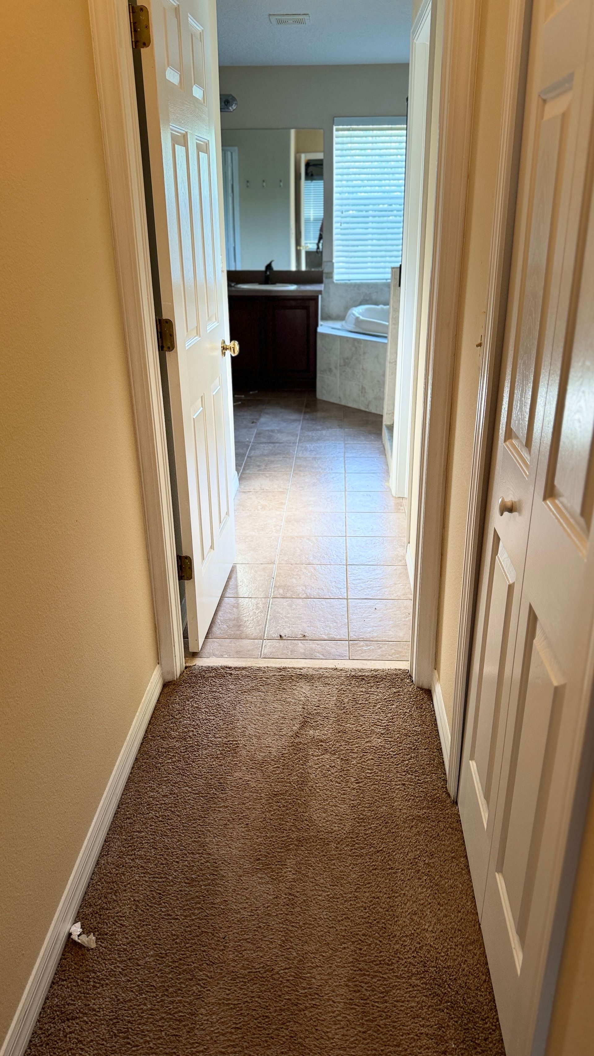 A hallway leading to a bathroom in a house.