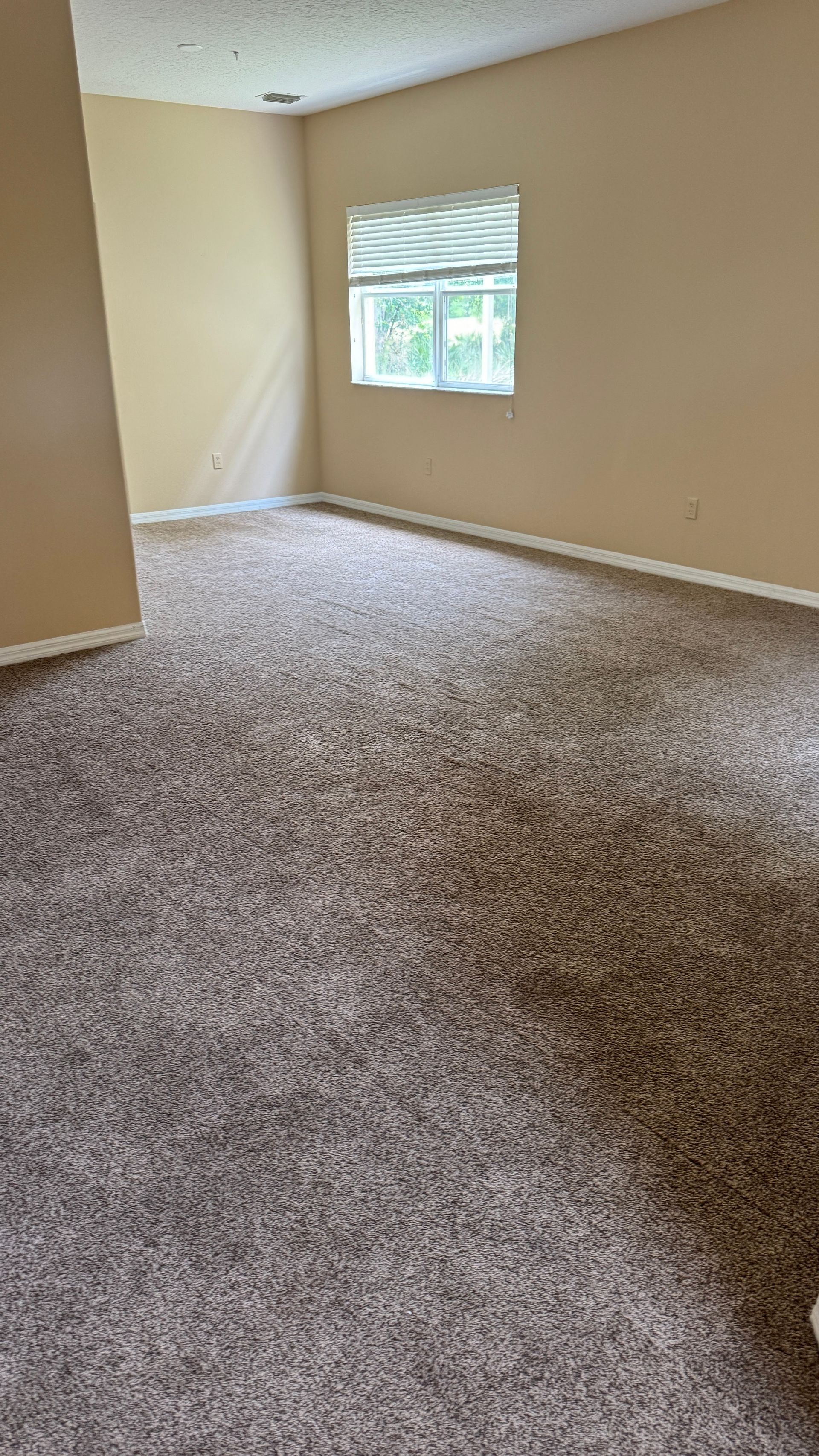 An empty living room with a carpeted floor and a window.
