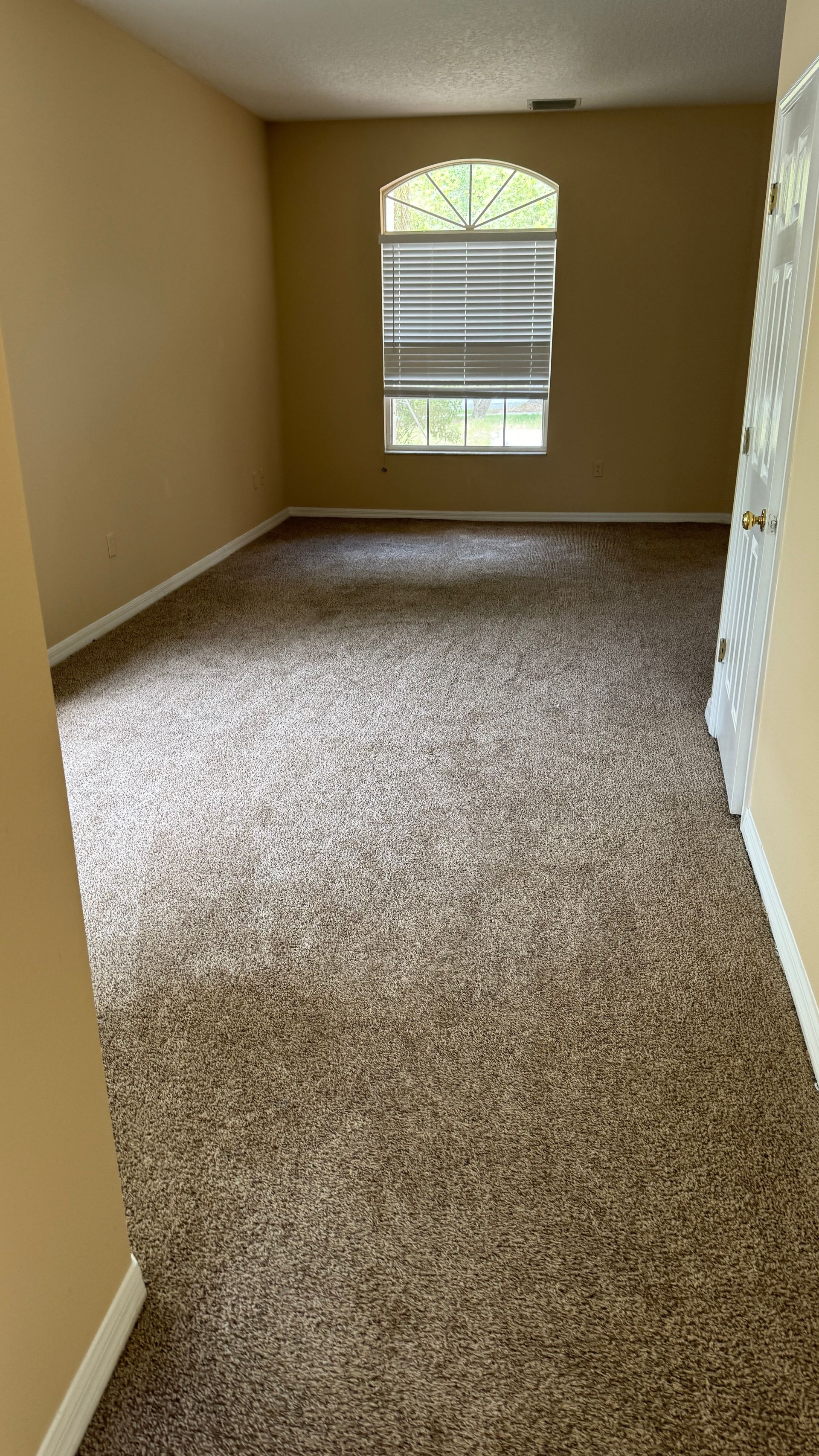 An empty living room with a window and brown carpet.