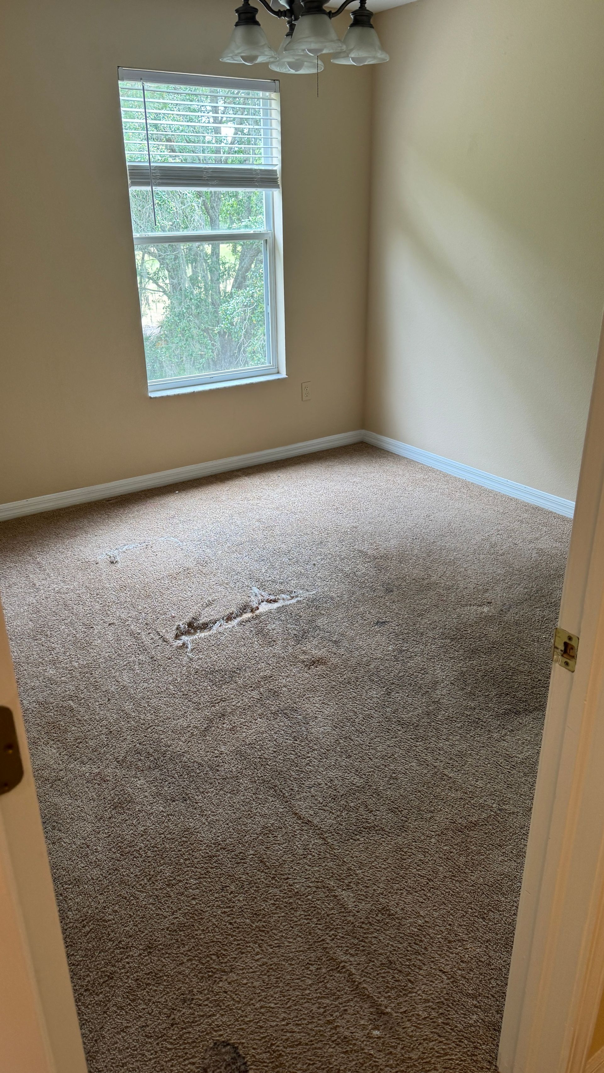 An empty room with a carpeted floor and a window.