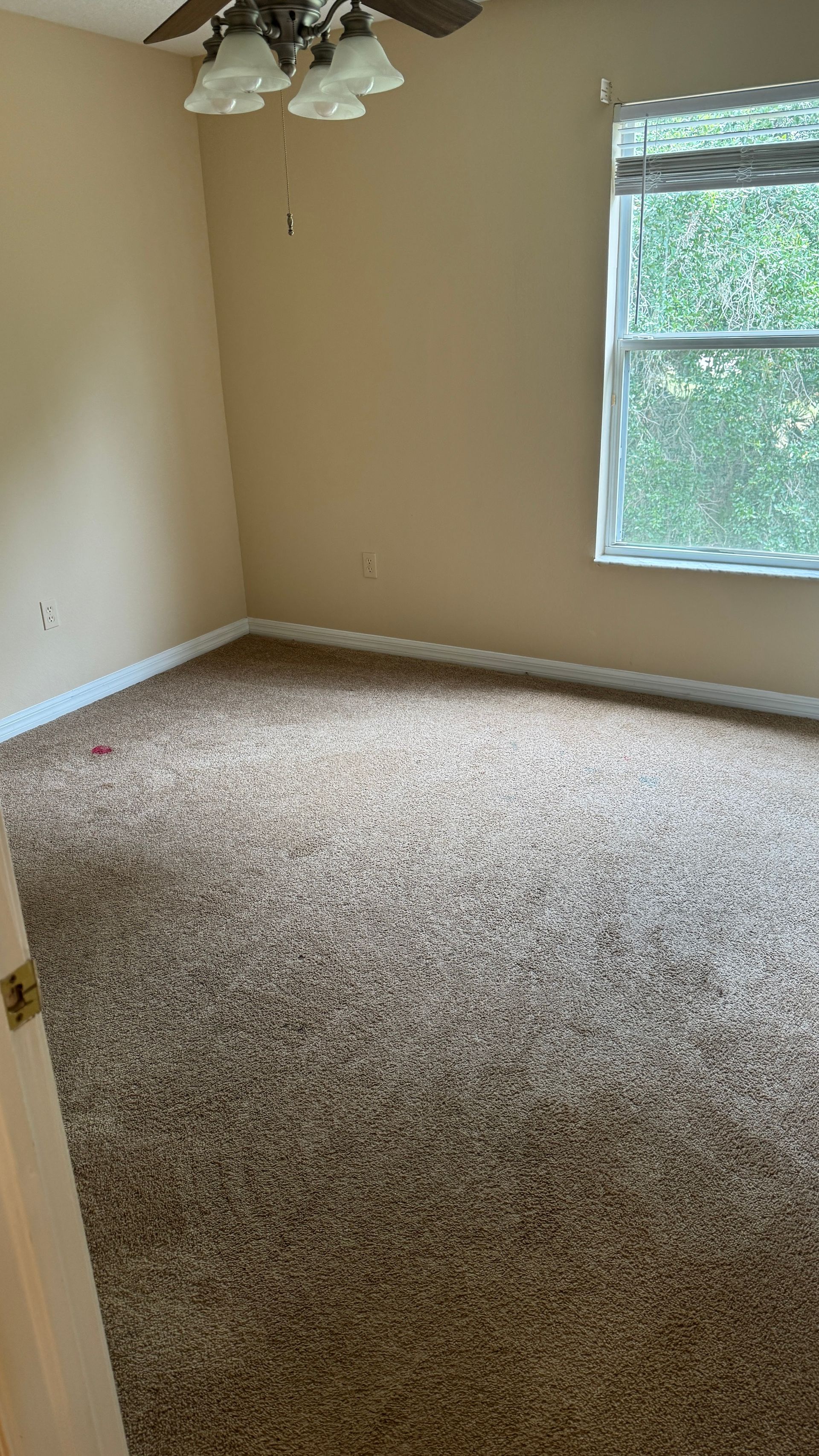 An empty bedroom with a ceiling fan and a window.