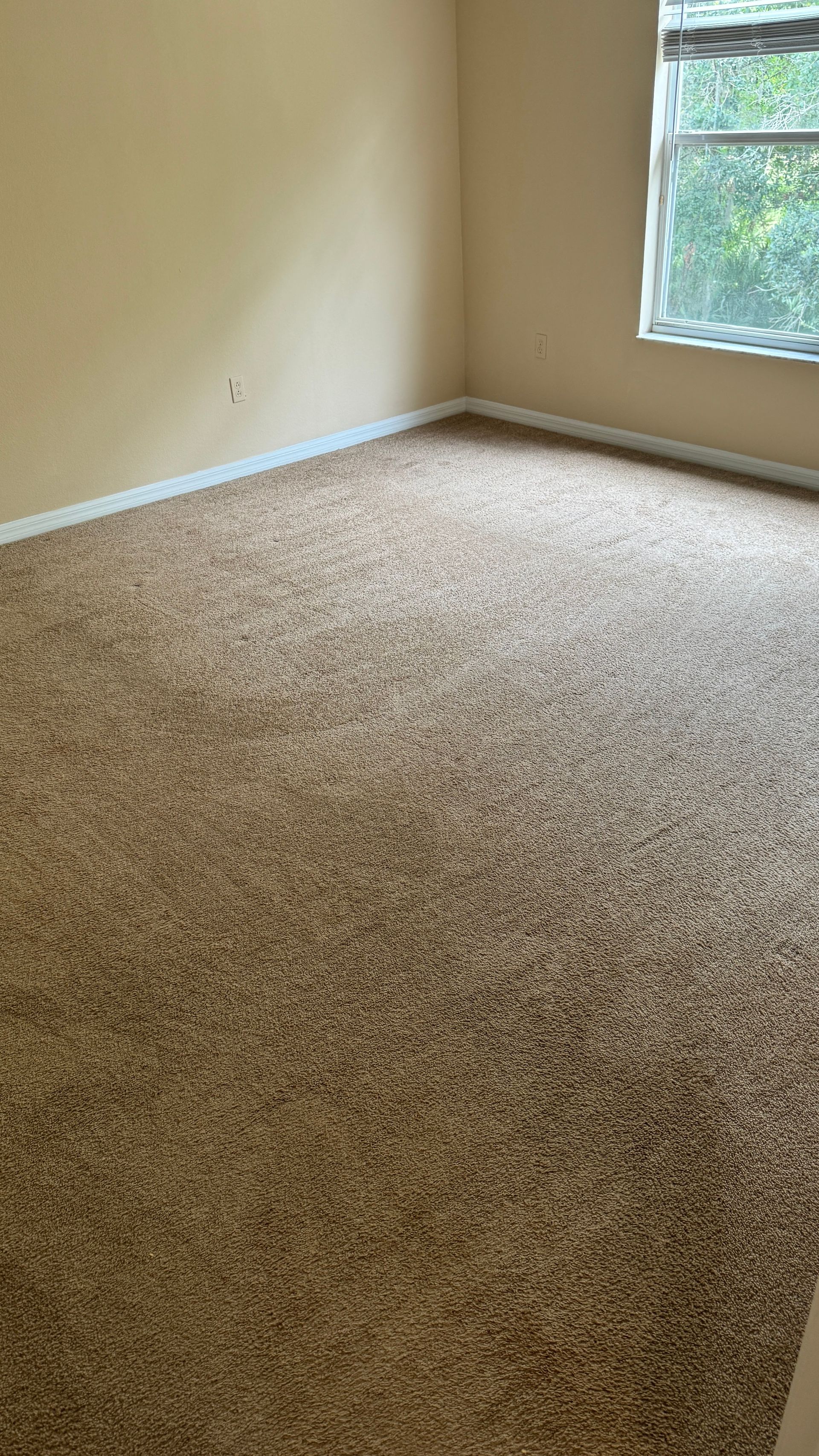 An empty room with a brown carpet and a window.