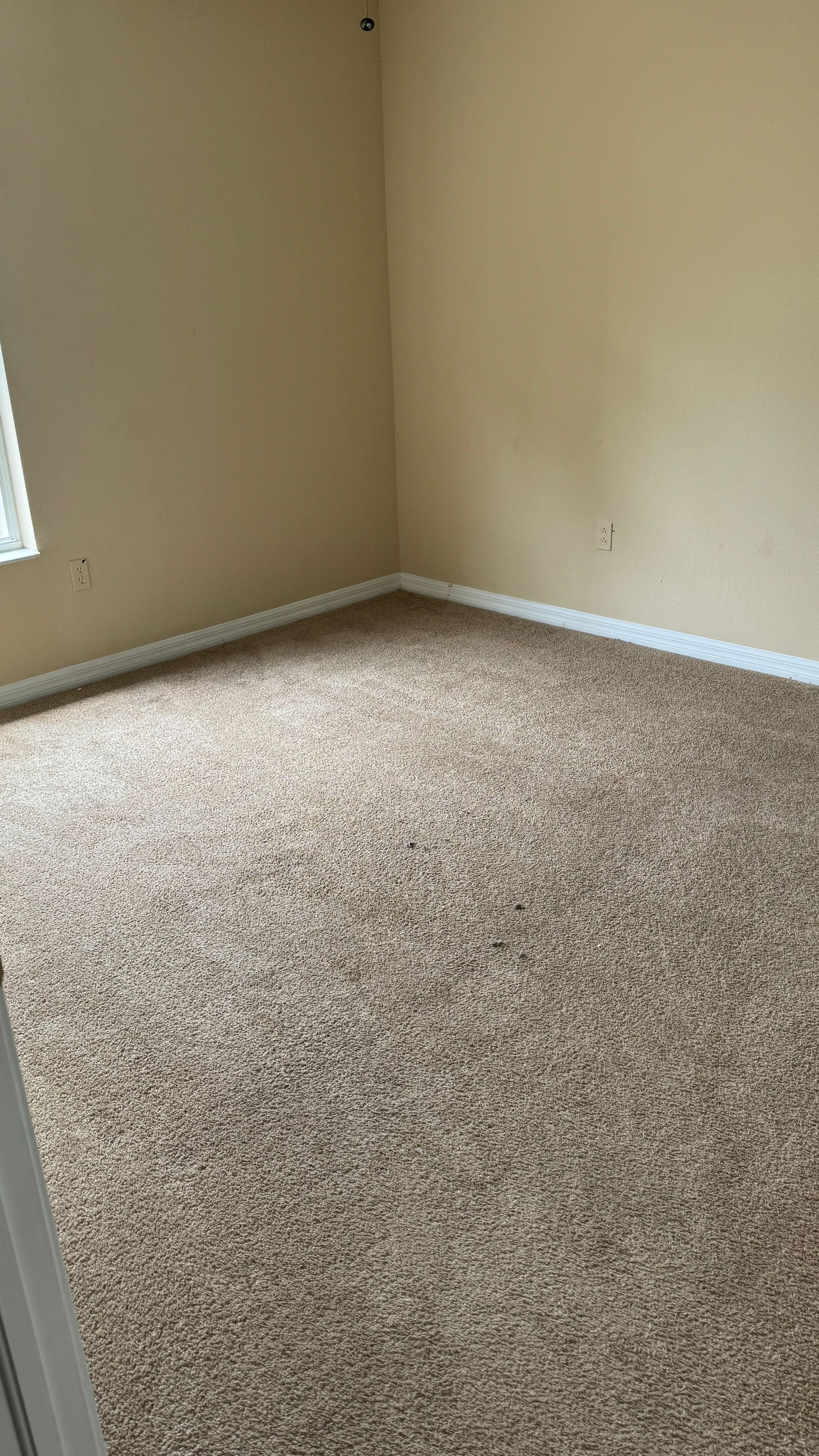 An empty room with a carpeted floor and tan walls.