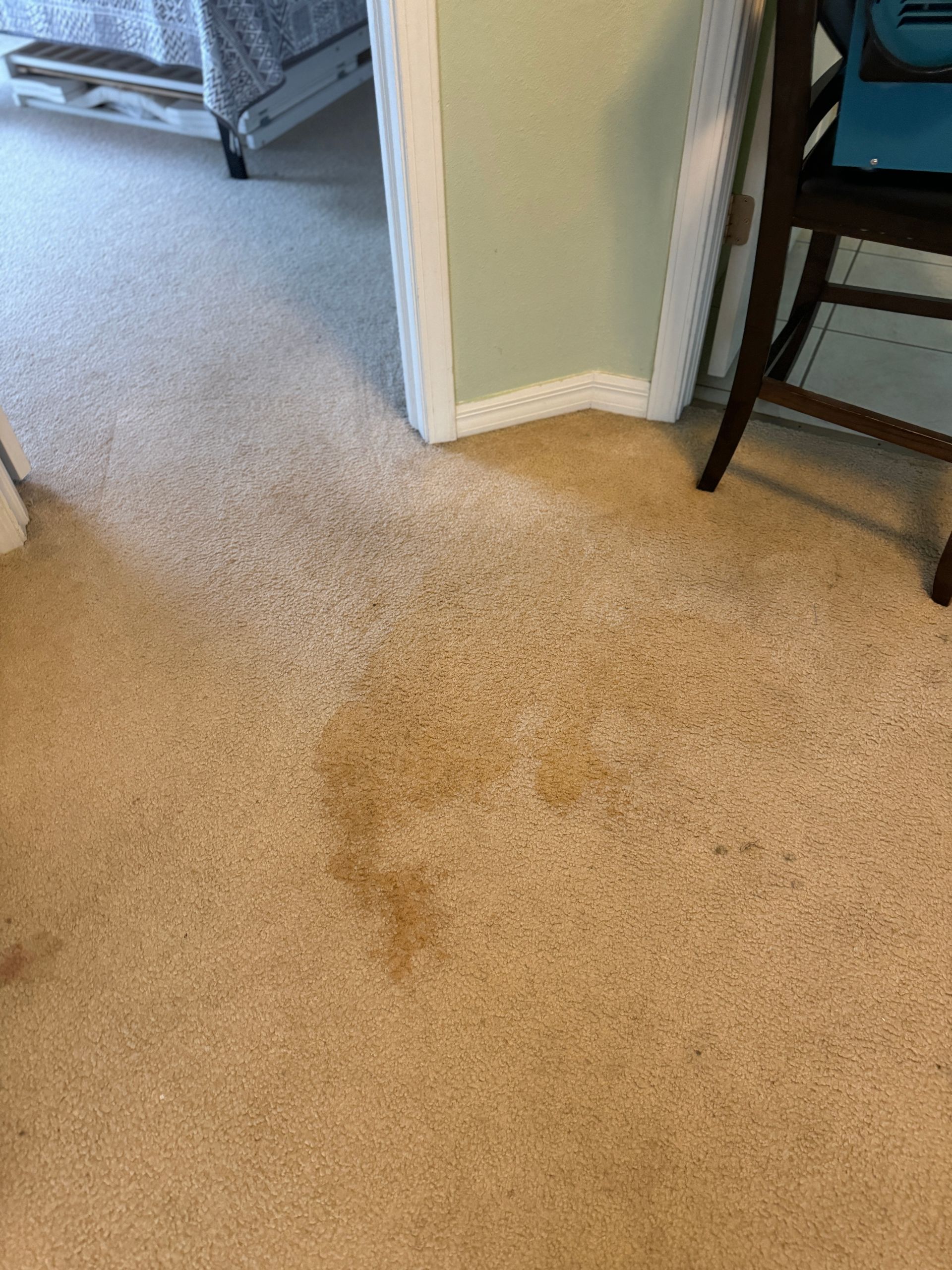 A dirty carpet in a room with a stain on it