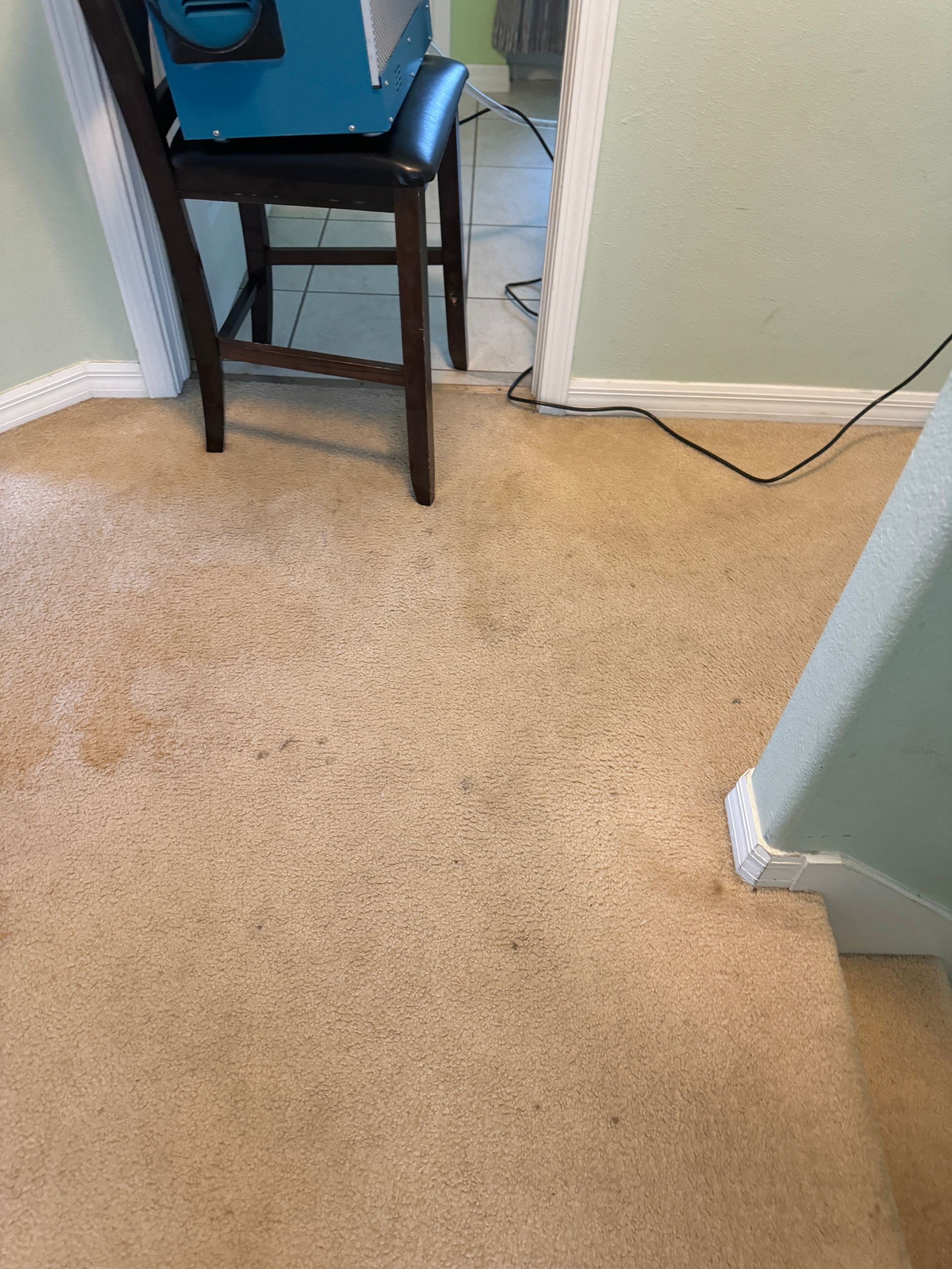 A chair is sitting on a dirty carpet in a room.