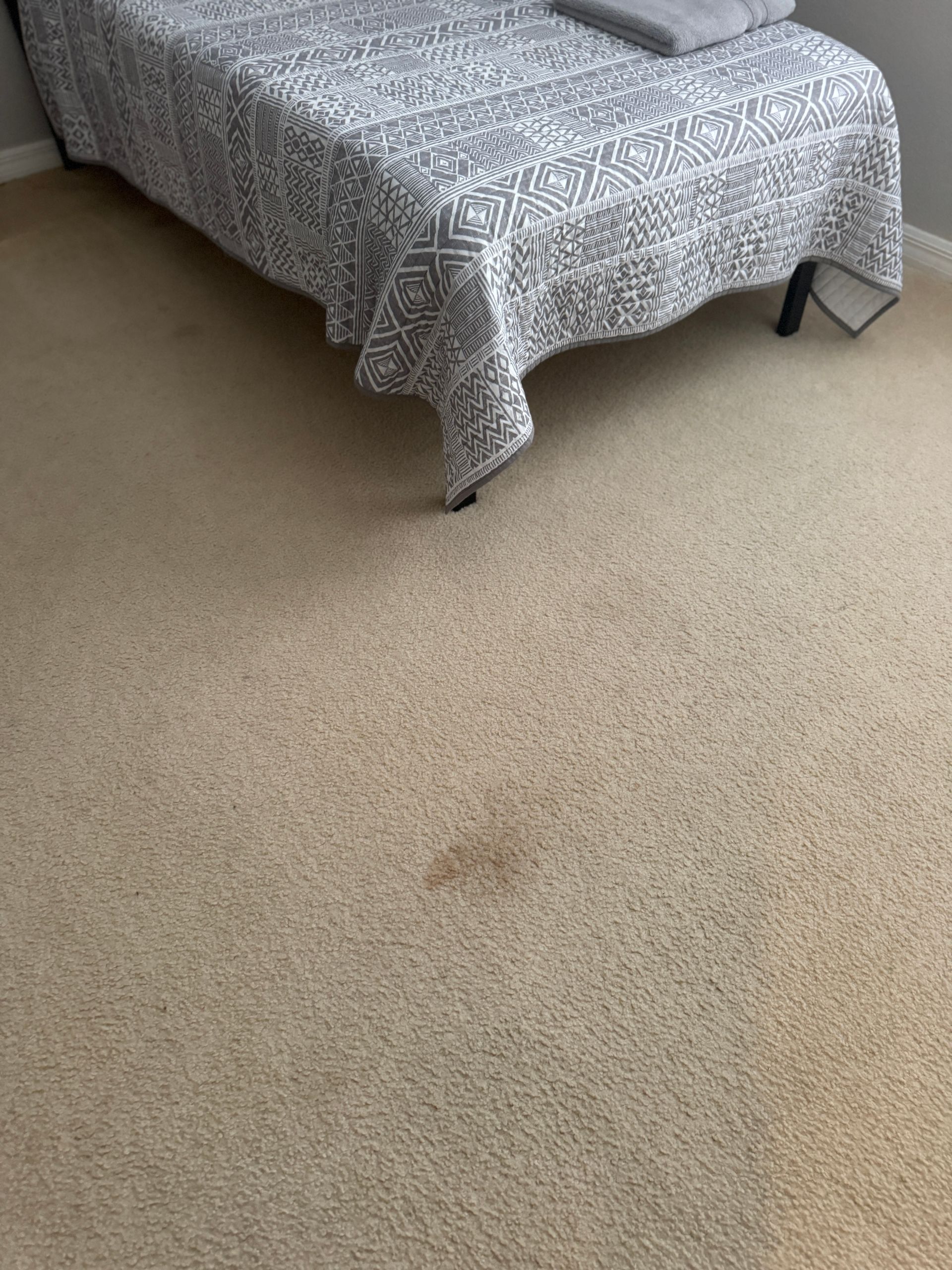 A bedroom with a bed and a carpet with a stain on it.