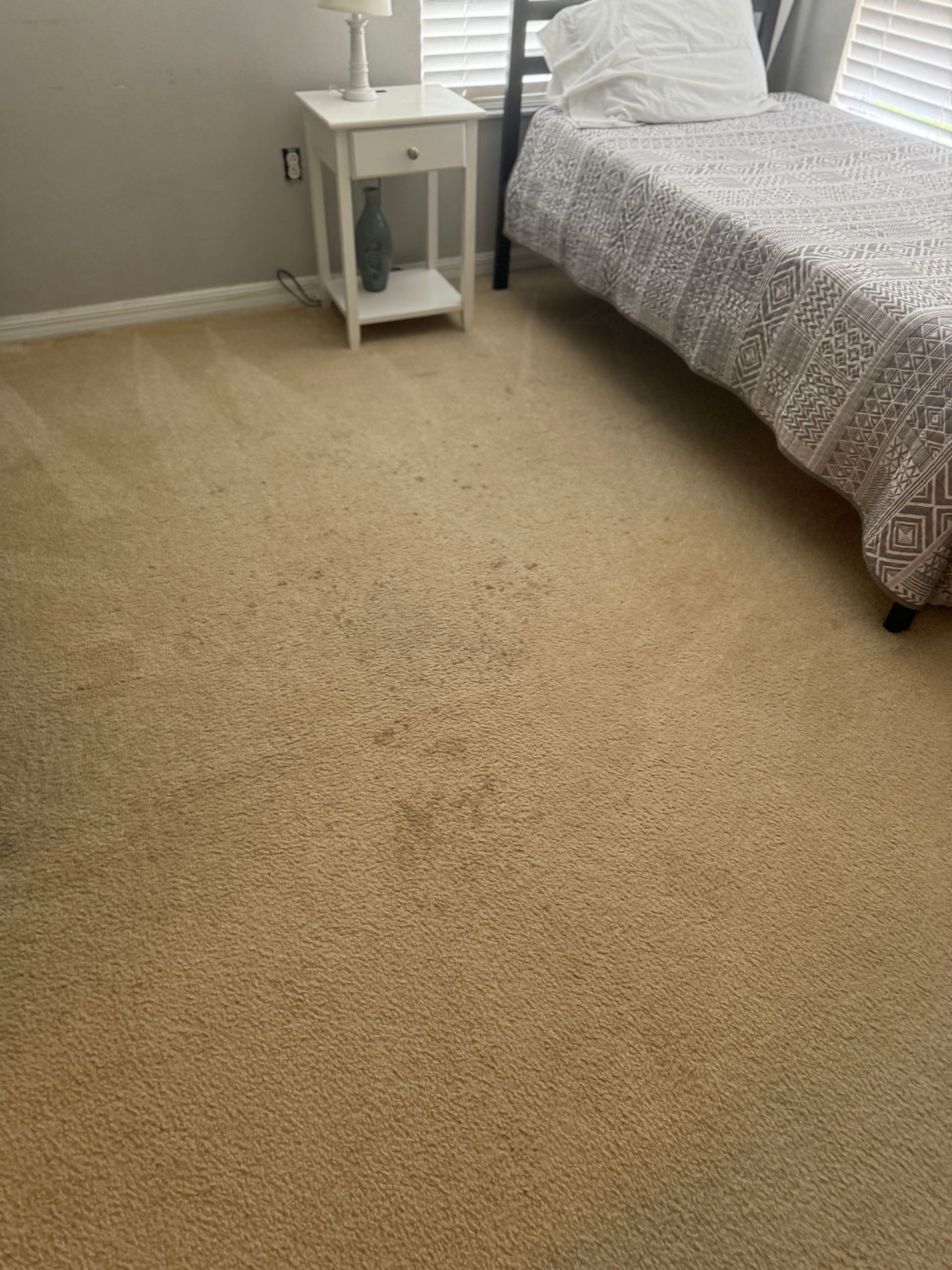 A bedroom with a bed , nightstand , lamp and carpet.