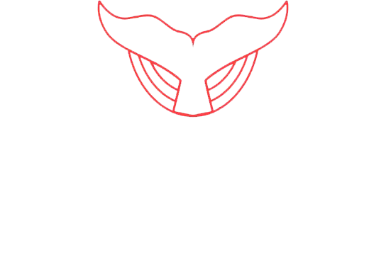 Red stylized bull head logo with angular lines, centered on a white background