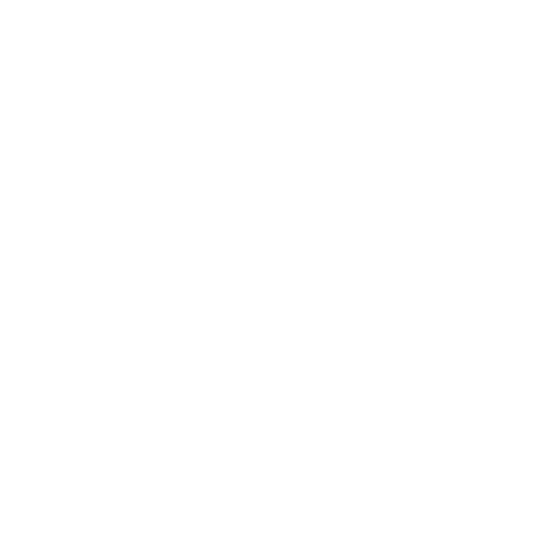 Logo White