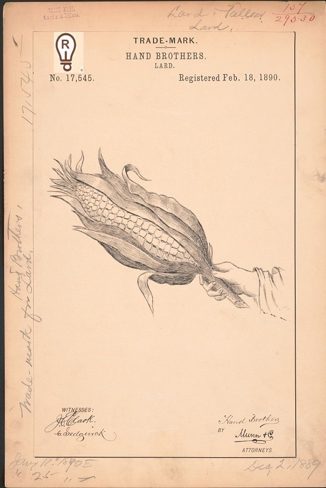 Trademark registration for corn. Detailed black and white drawing of corn on the cob, registered February 18, 1890.