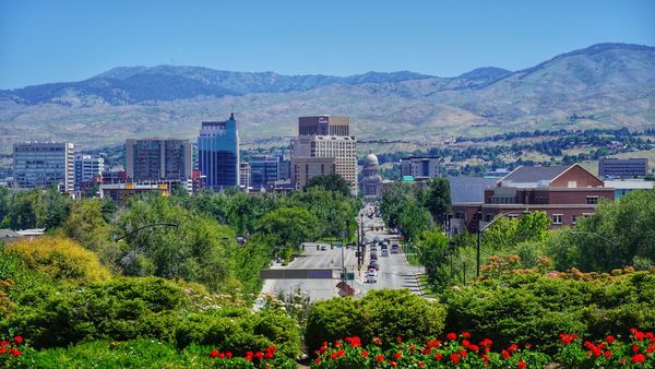 City skyline with a central street, green trees and flowers in the foreground, and mountains under a blue sky