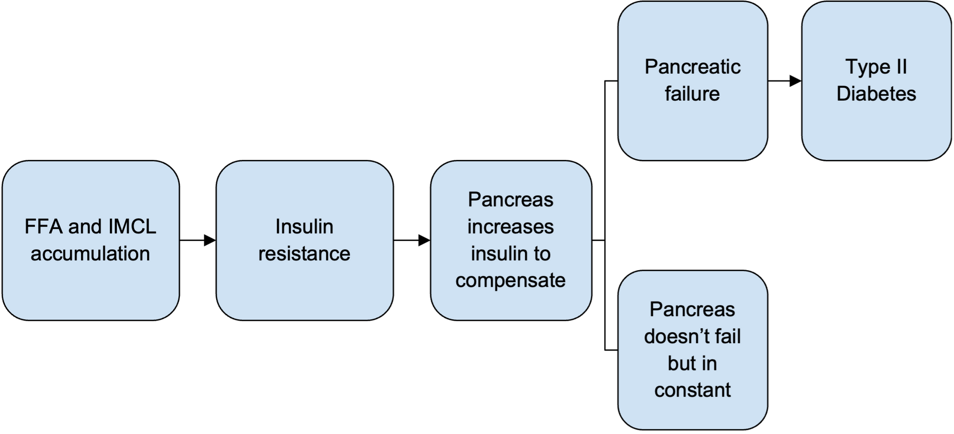 A diagram showing the causes of type 2 diabetes