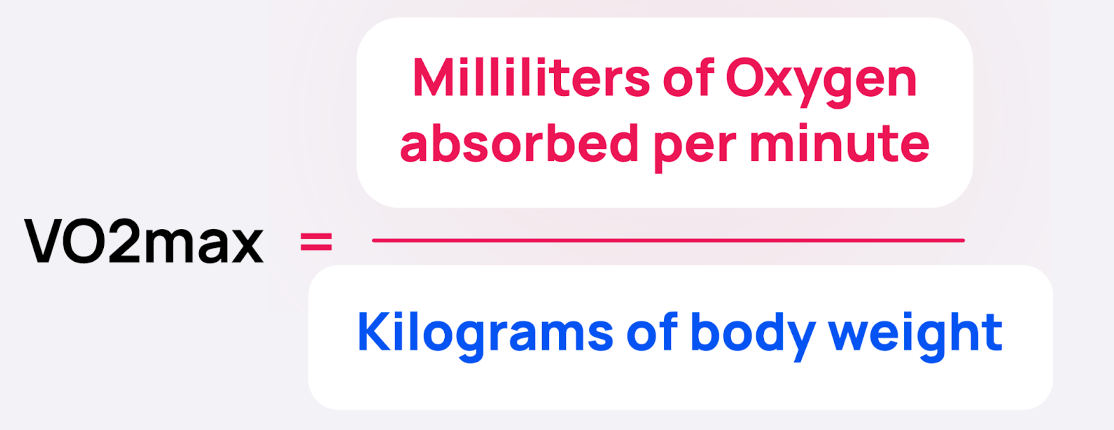 Milliliters of oxygen absorbed per minute equals kilograms of body weight.