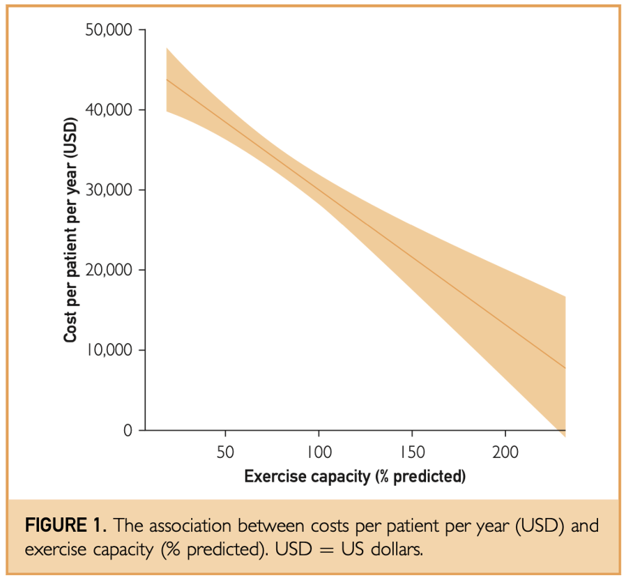 A graph showing the association between costs per patient per year and exercise capacity