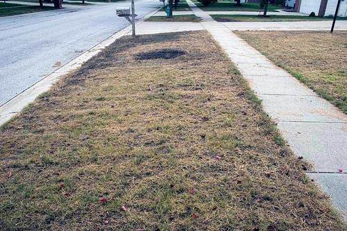 Curb Seed Before — Hiawatha, KS — Maple Wood Lawn Care