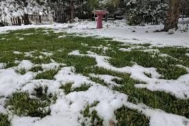 Winter Grass — Hiawatha, KS — Maple Wood Lawn Care