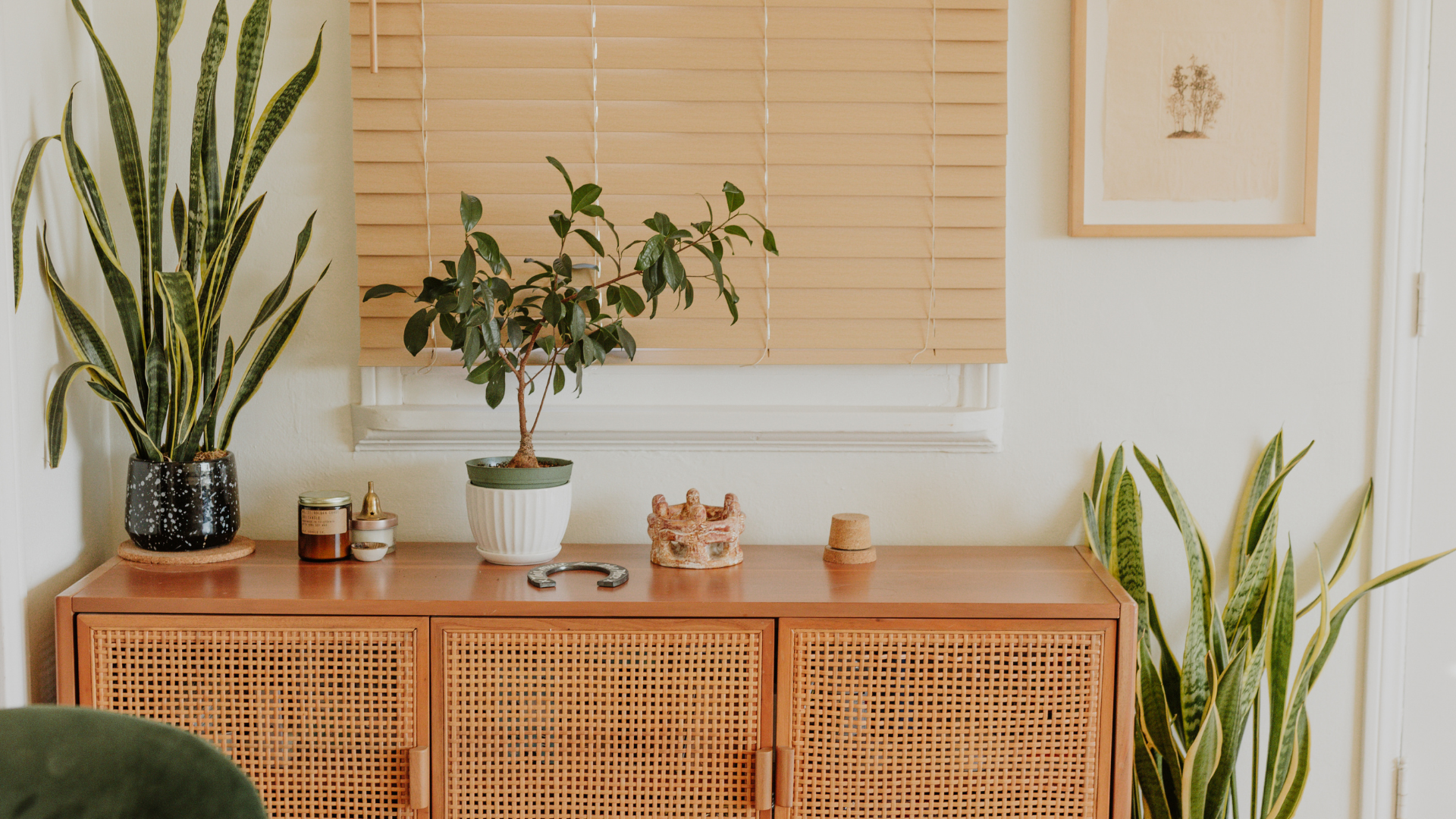 A living room with a wooden dresser and potted plants.