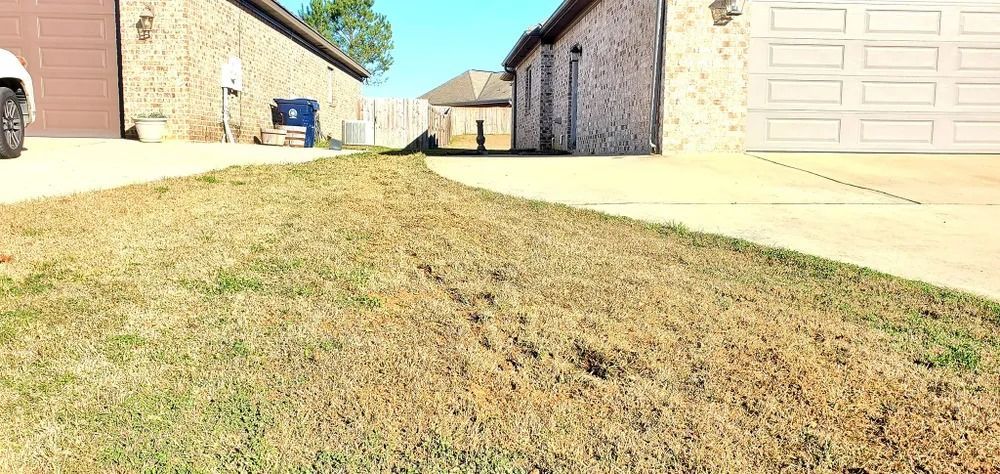Dry grass in front of homes on a sunny day.