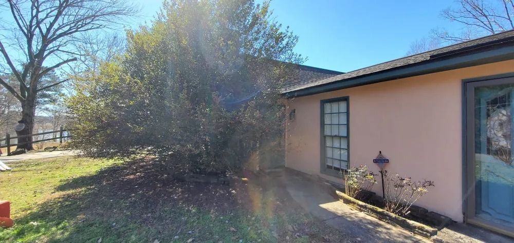 Exterior of a pink house with a blue door and a large bush on a sunny day.