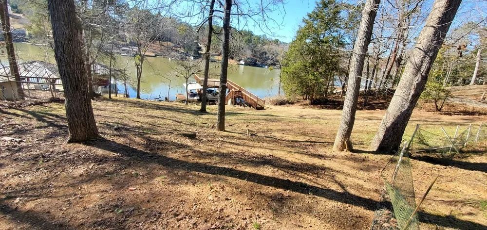 Trees on a grassy hillside overlooking a lake with docks and a house in the distance.