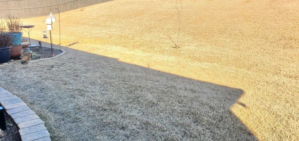 A brown backyard lawn with a stone border, some pots and a bird feeder on the left side.