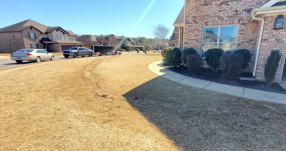Houses line a sunny street with brown lawns, a car, and shrubbery.