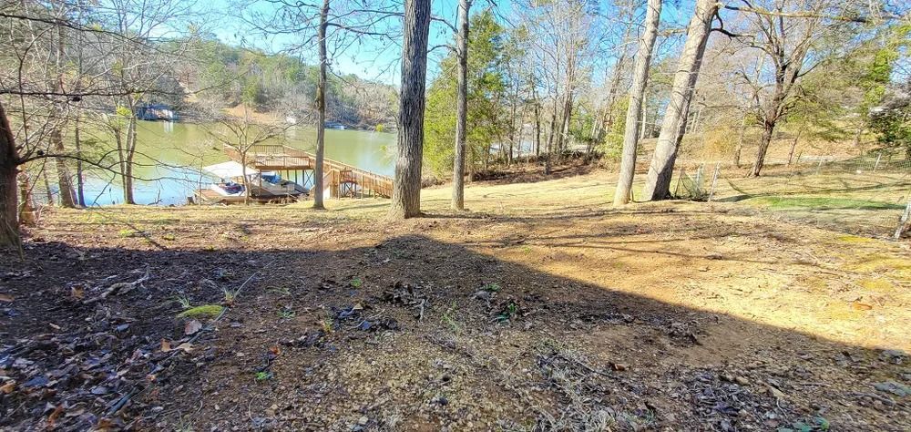 A lakeside view with trees in the foreground, and a boat dock in the distance on a bright, sunny day.