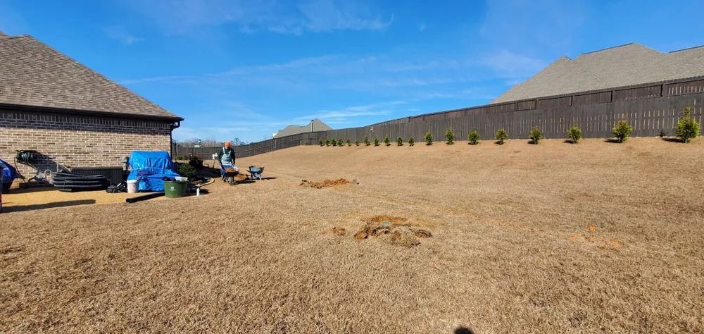 A wide, brown yard with a house on the left and a fence with trees in the back under a blue sky.