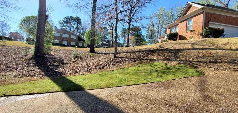 View of residential area with trees, grass, and houses on a sunny day.