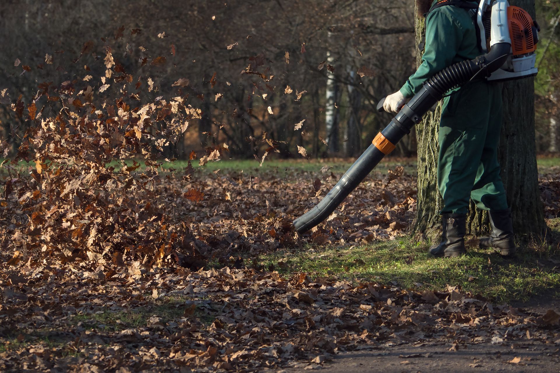 Person in green suit uses a leaf blower to move brown leaves in a park.