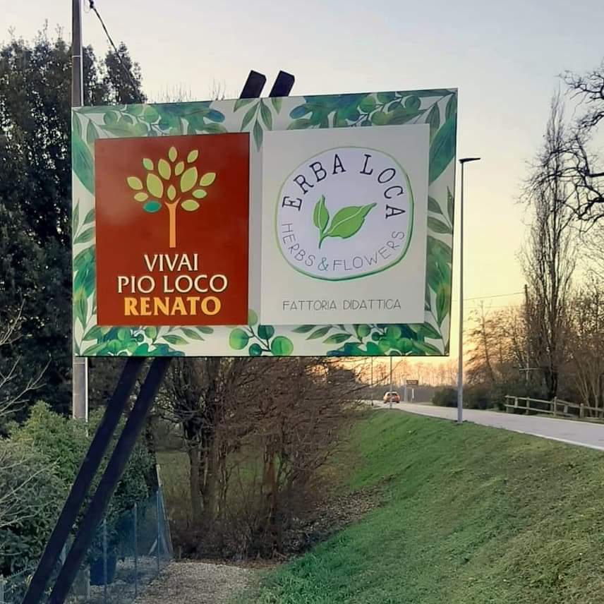 Grafica pubblicitaria