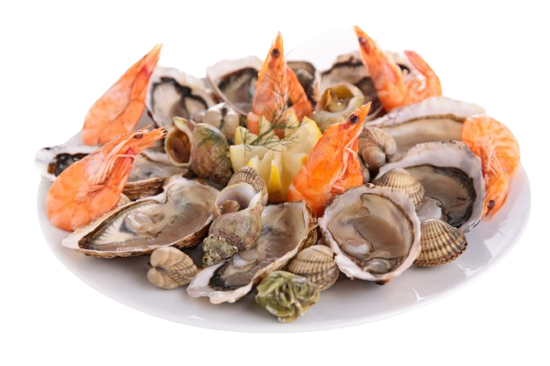 Piatto di frutti di mare e gamberetti assortiti su un piatto bianco