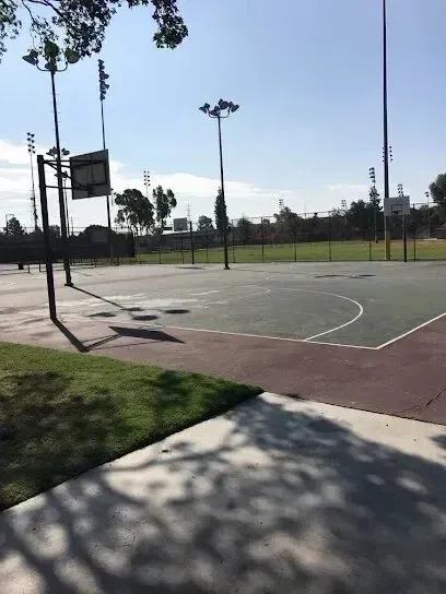 Window Tinting Service-Basketball court with black hoops, green playing surface, and tall lights.