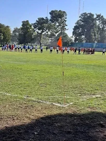 Window Tinting Service-A group of people standing in a field with a flag in the foreground