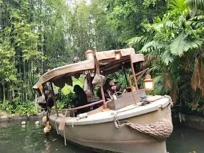 Window Tinting Service-A boat is floating on top of a river surrounded by trees.