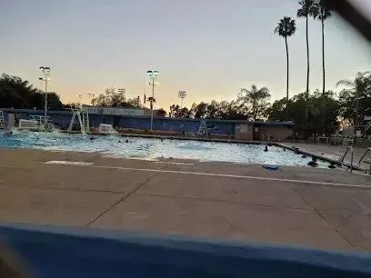 A large swimming pool with palm trees in the background at sunset.