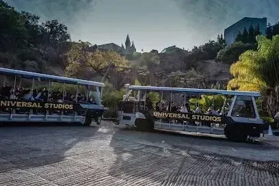 Window Tinting Service-A group of people are riding a train at universal studios.